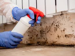 Best Mold Odor Removal Services  in East Newark, NJ